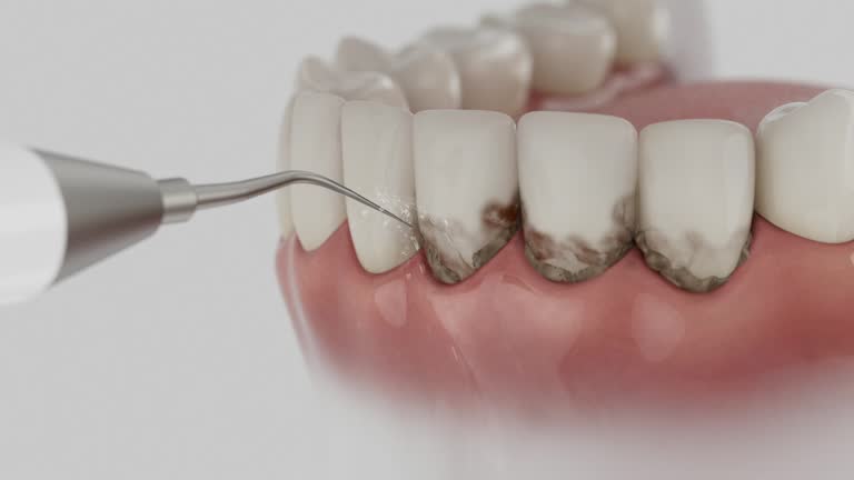 Reliable Dental contractor in Pine Knoll Shores, NC by Dentist Open Now